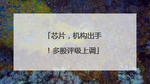 芯片，机构出手！多股评级上调