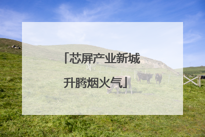 芯屏产业新城升腾烟火气