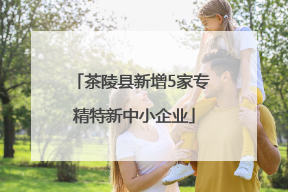 茶陵县新增5家专精特新中小企业