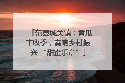 范县城关镇：香瓜丰收季，奏响乡村振兴 “甜蜜乐章”