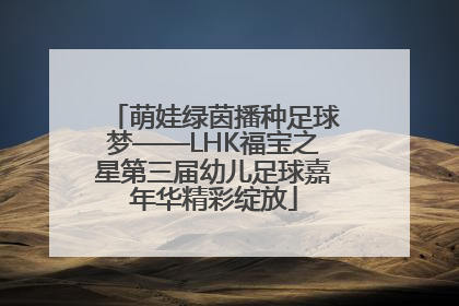 萌娃绿茵播种足球梦——LHK福宝之星第三届幼儿足球嘉年华精彩绽放