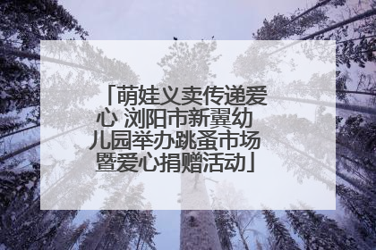 萌娃义卖传递爱心 浏阳市新翼幼儿园举办跳蚤市场暨爱心捐赠活动