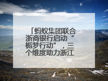 蚂蚁集团联合浙商银行启动“栀梦行动”，三个维度助力浙江下姜村建设共富示范区示范点