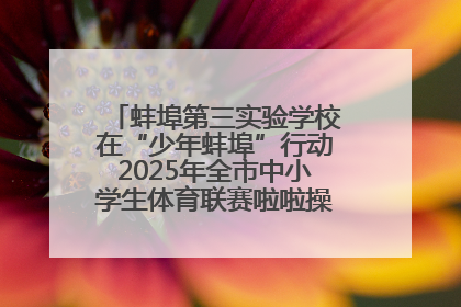 蚌埠第三实验学校在“少年蚌埠”行动2025年全市中小学生体育联赛啦啦操比赛中获佳绩