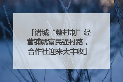 诸城“整村制”经营铺就富民强村路，合作社迎来大丰收