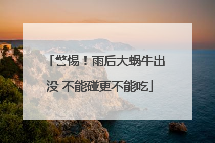 警惕！雨后大蜗牛出没 不能碰更不能吃