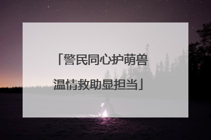 警民同心护萌兽 温情救助显担当