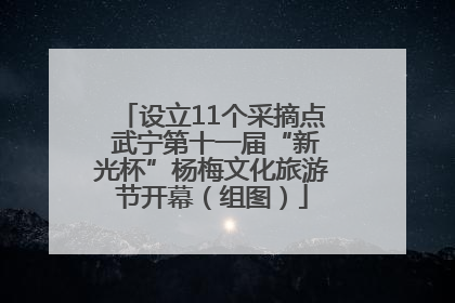 设立11个采摘点 武宁第十一届“新光杯”杨梅文化旅游节开幕（组图）