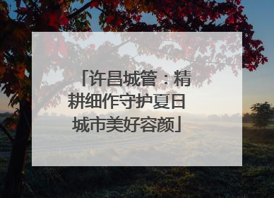 许昌城管：精耕细作守护夏日城市美好容颜