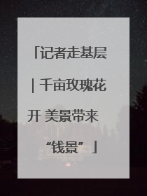 记者走基层｜千亩玫瑰花开 美景带来“钱景”
