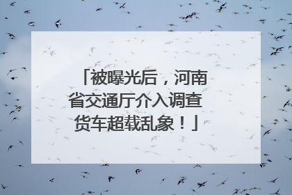 被曝光后，河南省交通厅介入调查货车超载乱象！