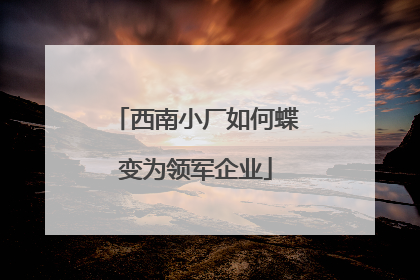 西南小厂如何蝶变为领军企业