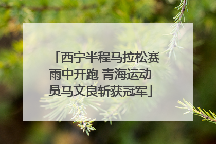 西宁半程马拉松赛雨中开跑 青海运动员马文良斩获冠军