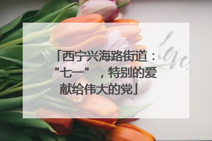 西宁兴海路街道：“七一”，特别的爱献给伟大的党