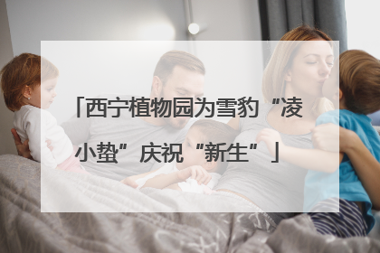 西宁植物园为雪豹“凌小蛰”庆祝“新生”