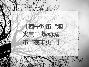 西宁豹街“烟火气” 燃动城市“夜未央”