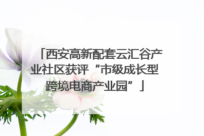 西安高新配套云汇谷产业社区获评“市级成长型跨境电商产业园”