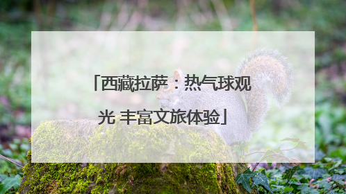 西藏拉萨：热气球观光 丰富文旅体验