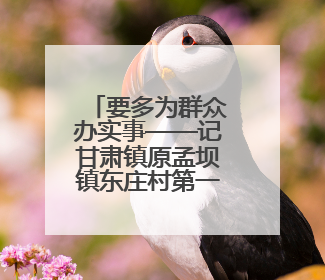 要多为群众办实事——记甘肃镇原孟坝镇东庄村第一书记杨鹏飞