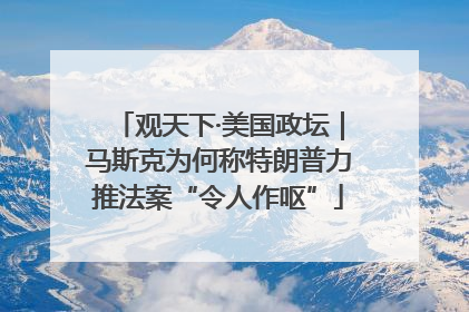 观天下·美国政坛｜马斯克为何称特朗普力推法案“令人作呕”