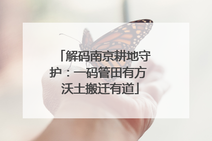 解码南京耕地守护：一码管田有方 沃土搬迁有道