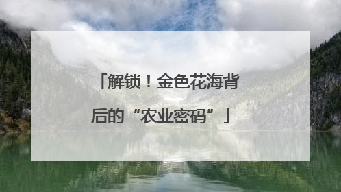 解锁！金色花海背后的“农业密码”