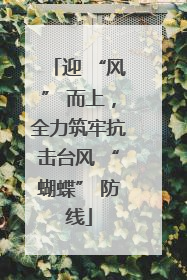 迎 “风” 而上，全力筑牢抗击台风 “蝴蝶” 防线