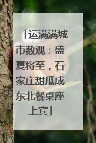 运满满城市数观：盛夏将至，石家庄甜瓜成东北餐桌座上宾