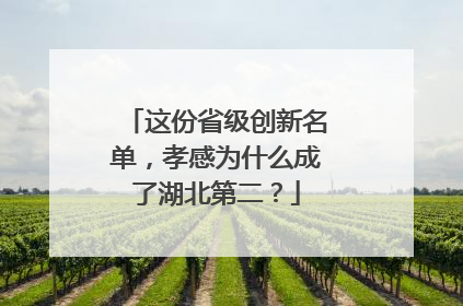 这份省级创新名单，孝感为什么成了湖北第二？