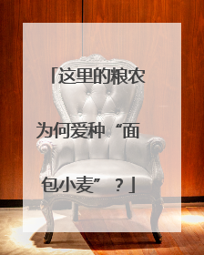 这里的粮农为何爱种“面包小麦”？