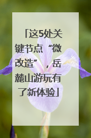 这5处关键节点“微改造”，岳麓山游玩有了新体验