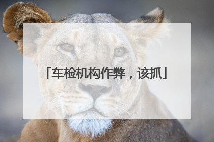车检机构作弊，该抓
