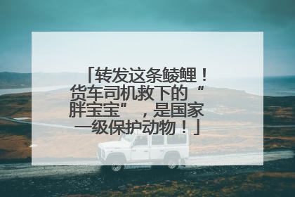 转发这条鲮鲤！货车司机救下的“胖宝宝”，是国家一级保护动物！