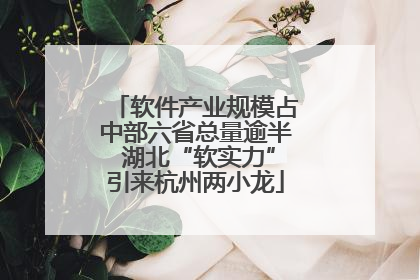 软件产业规模占中部六省总量逾半 湖北“软实力”引来杭州两小龙