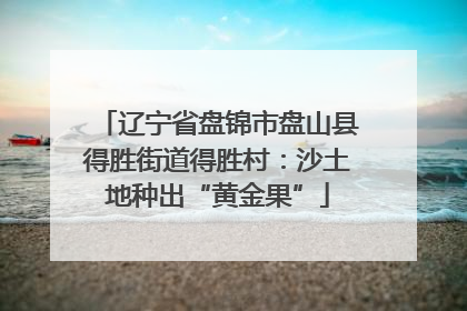 辽宁省盘锦市盘山县得胜街道得胜村：沙土地种出“黄金果”