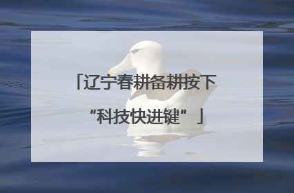 辽宁春耕备耕按下“科技快进键”