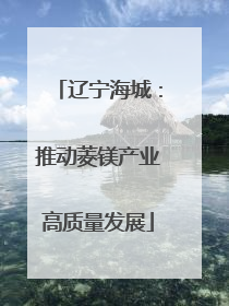辽宁海城：推动菱镁产业高质量发展