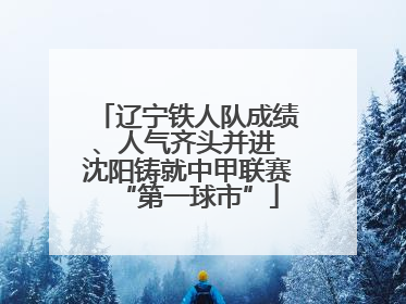 辽宁铁人队成绩、人气齐头并进 沈阳铸就中甲联赛“第一球市”