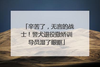 辛苦了，无言的战士！警犬退役撒娇训导员湿了眼眶