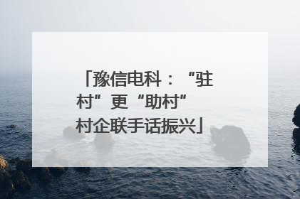 豫信电科：“驻村”更“助村” 村企联手话振兴
