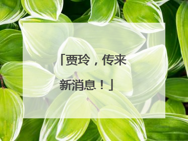 贾玲，传来新消息！