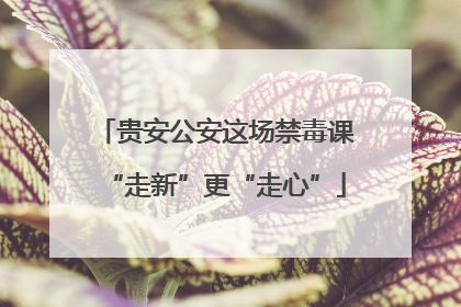 贵安公安这场禁毒课“走新”更“走心”
