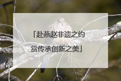 赴燕赵非遗之约 赏传承创新之美