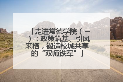 走进常德学院（三）：政策筑基、引凤来栖，锻造校城共享的“双师铁军”