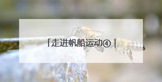 走进帆船运动④｜如何看懂一场帆船赛？水上的“速度与激情”同样精彩