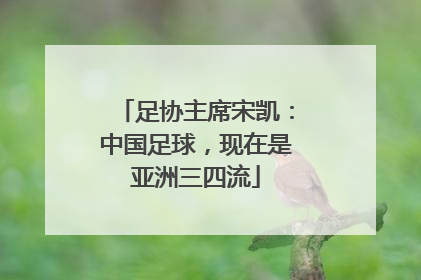 足协主席宋凯：中国足球，现在是亚洲三四流