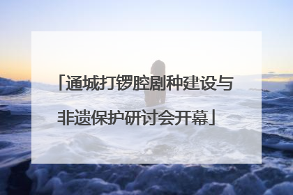 通城打锣腔剧种建设与非遗保护研讨会开幕