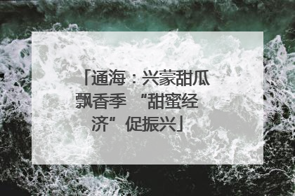 通海：兴蒙甜瓜飘香季 “甜蜜经济”促振兴