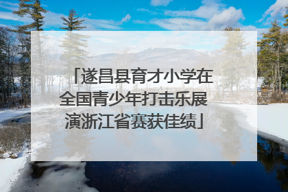 遂昌县育才小学在全国青少年打击乐展演浙江省赛获佳绩
