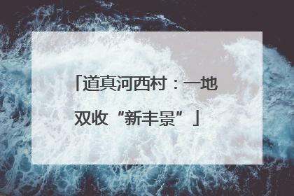 道真河西村：一地双收“新丰景”